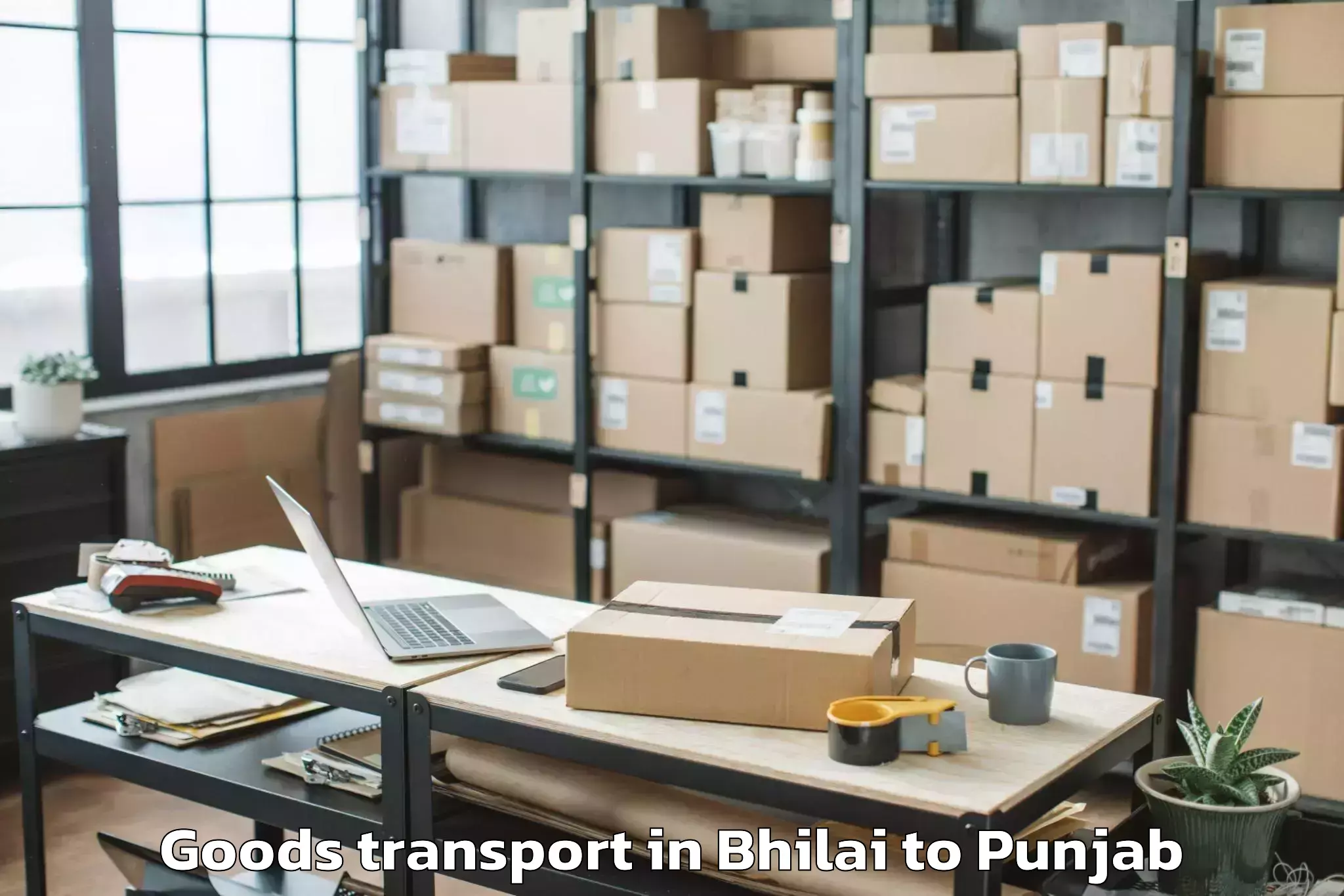 Leading Bhilai to Goindwal Sahib Goods Transport Provider